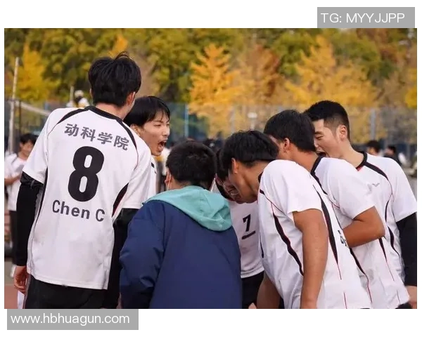 成都排球队团队协作深度解析与其他球队的对比研究