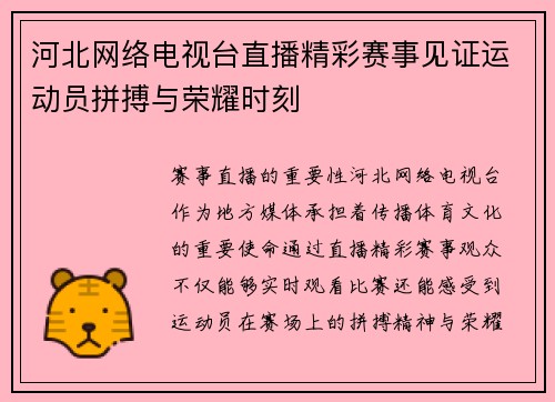 河北网络电视台直播精彩赛事见证运动员拼搏与荣耀时刻